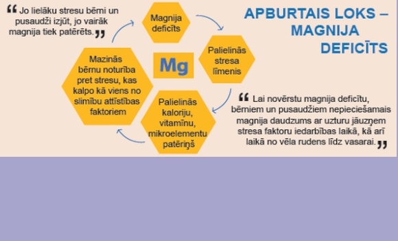 Gaidot noslēguma pārbaudījumus skolā – vērtīgā minerālviela magnijs